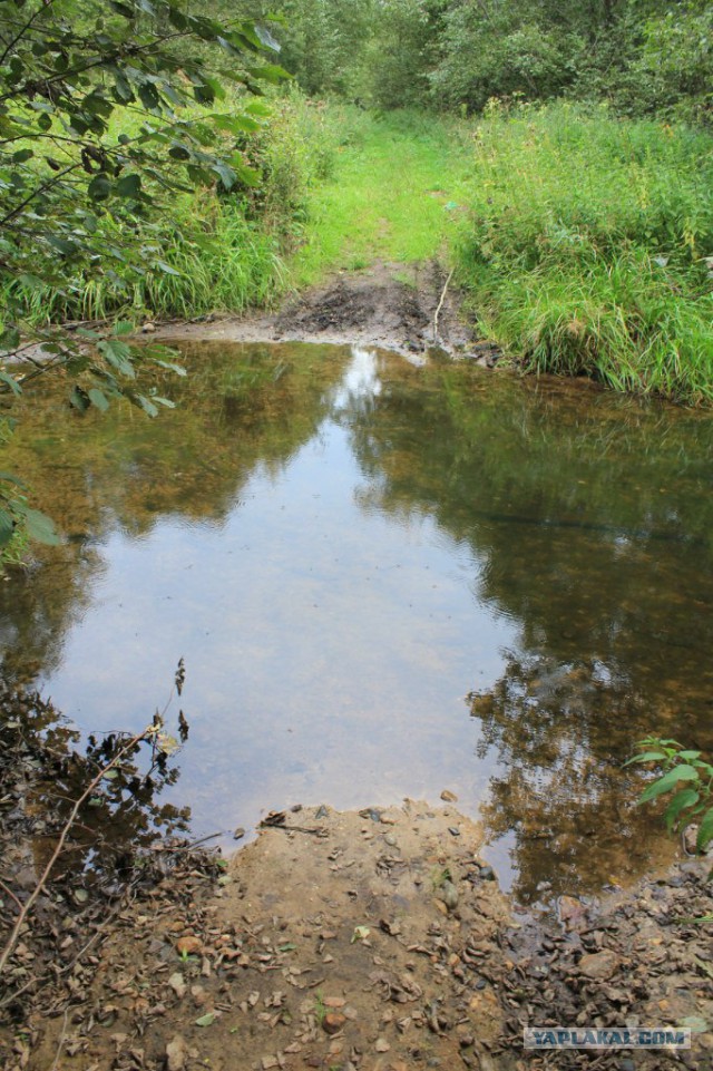 Село Борисоглебское