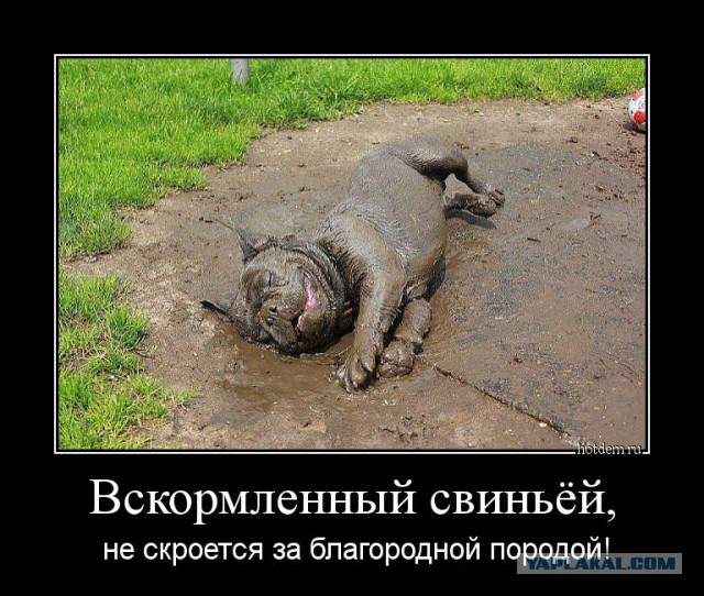 Всем тролям посвещается
