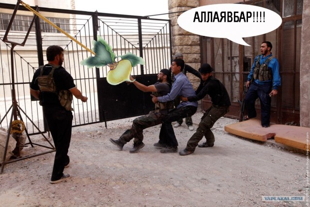 Сирия в огне