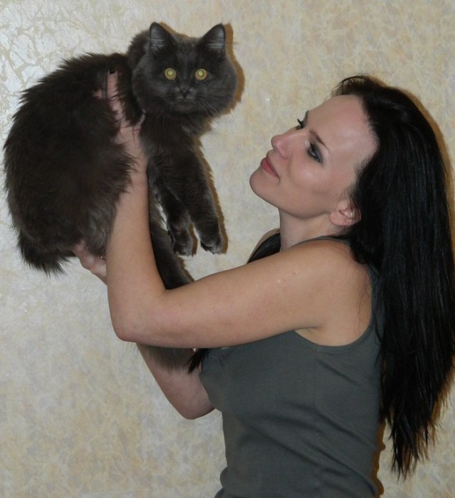 Котовторник  10.11.2015