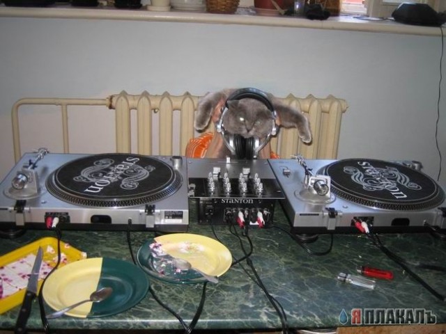 Модный Dj