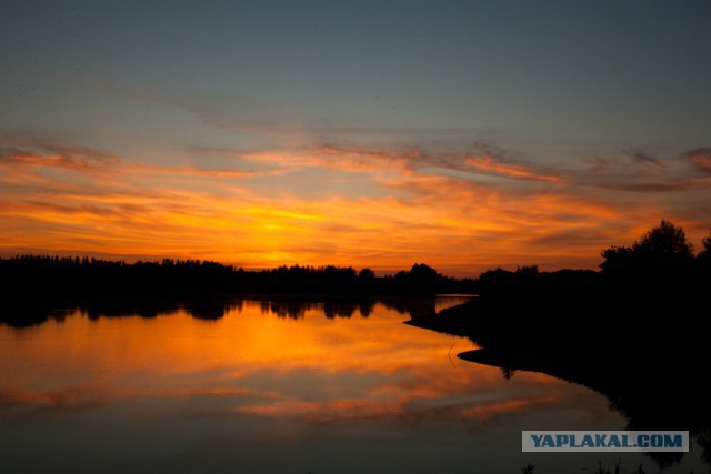 Я узнал, что у меня есть огромная семья