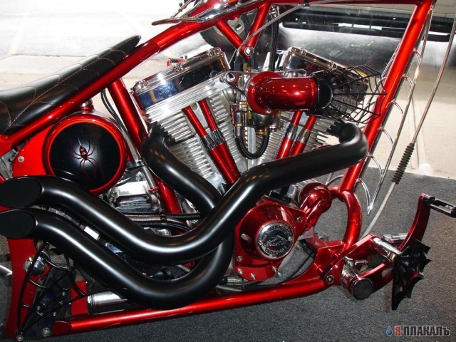 Occ Shop