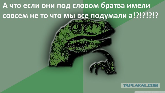 ДТП и слово