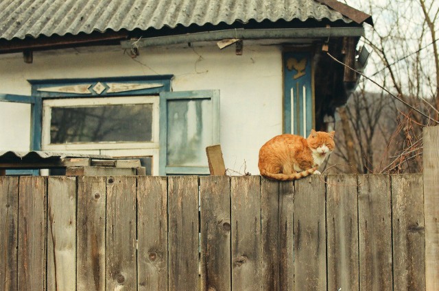 Подборка "тёплых, уютных, домашних" фотографий. Часть 7