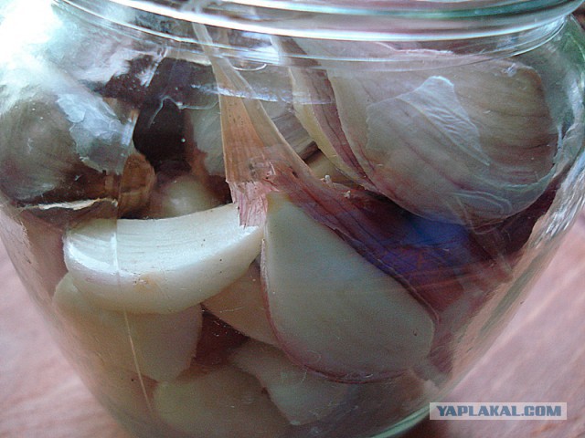 Готовимся к войне с вампирами. Время пришло