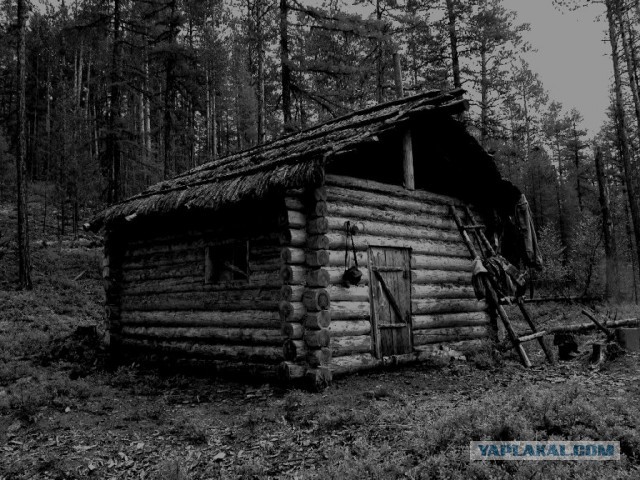 Тайга, страшные истории