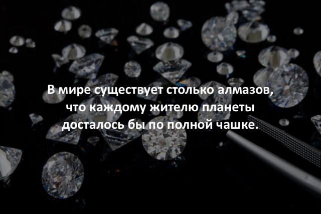 40 интересных фактов в картинках.