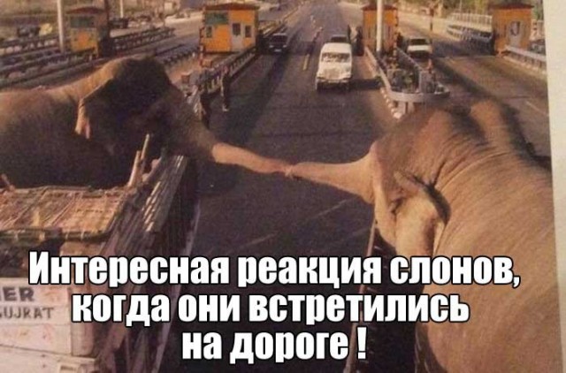 Подборка интересных и веселых картинок