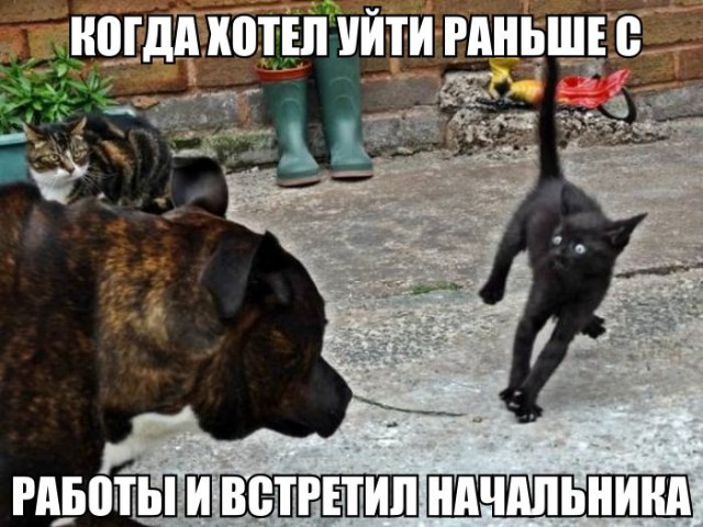 Тупанём?