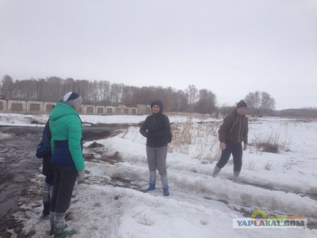 Пропал в весеннем лесу