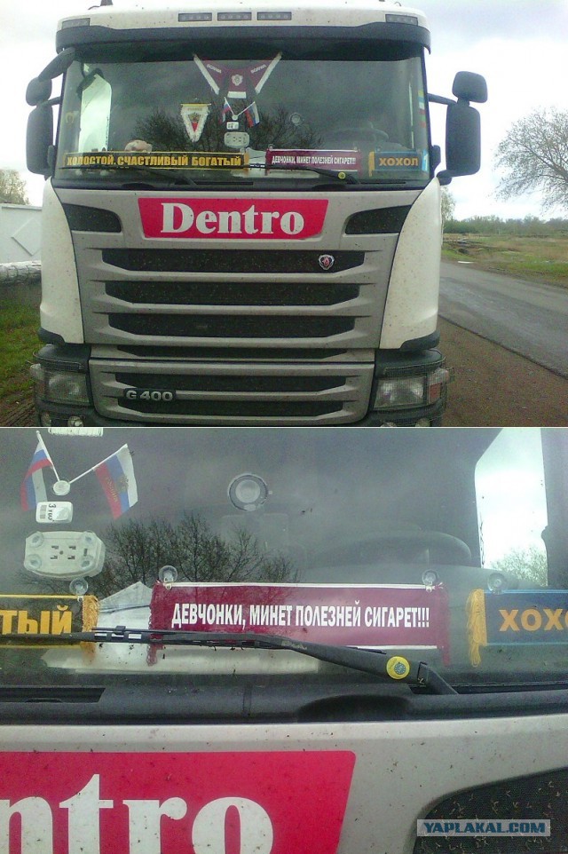 38 интересных и веселых картинок