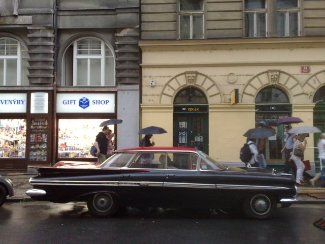 Жуки