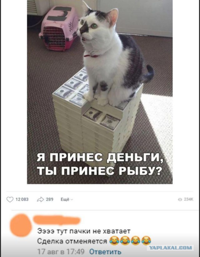 Очередные соцсети