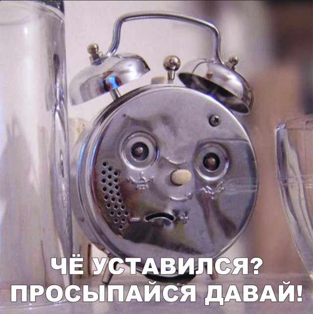 Подборка интересных и веселых картинок 29.01.19