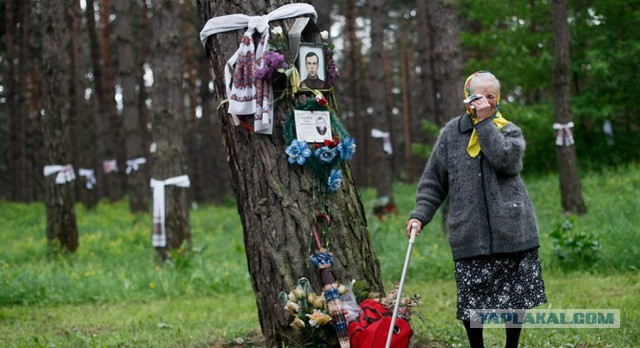 Быдло гонит на Гаранта