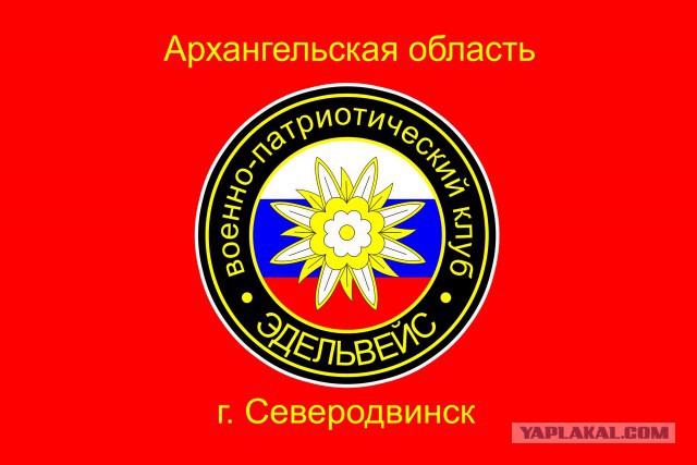 Нижегородский замминистра щеголяет в куртке с эмблемой дивизии вермахта?