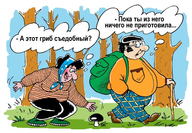 Трюфеля ли? К грибникам