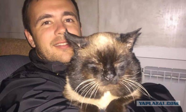 ⚡️Украинский лайнер со 180 пассажирами рухнул у тегеранского аэропорта