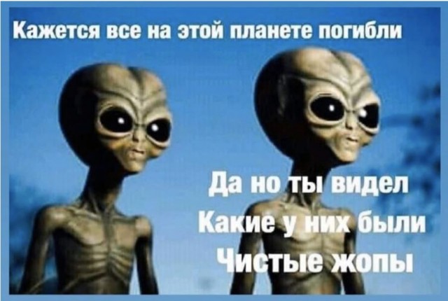 Когда паника граничит с маразмом: как не надо себя вести во время пандемии