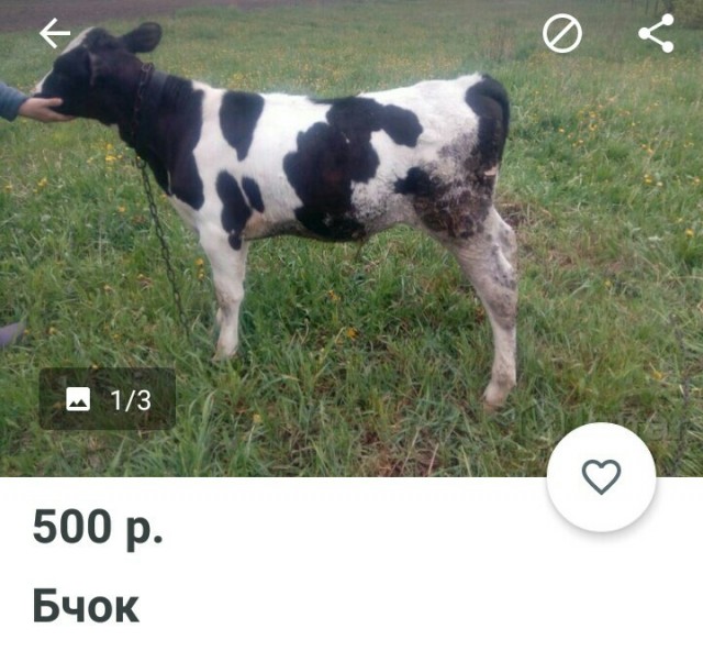 25 забавных шедевров от гениев рекламы