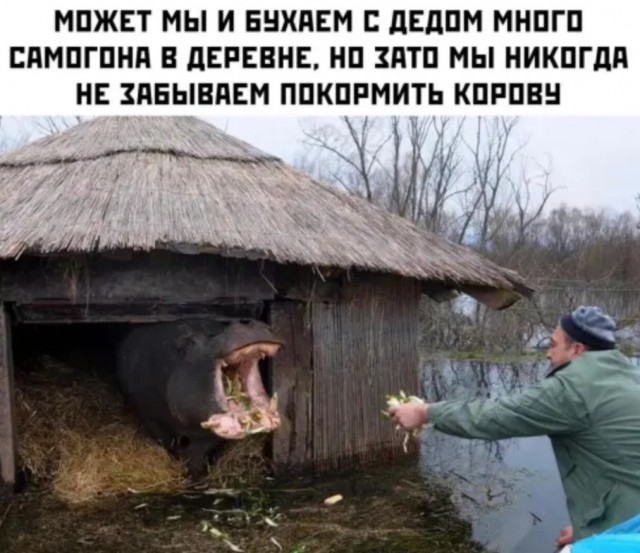 Бредзона 06.08.2020