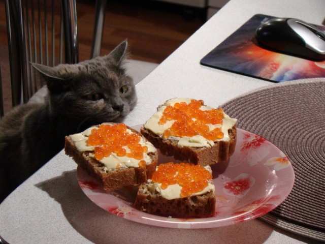 Солянка на начало недели