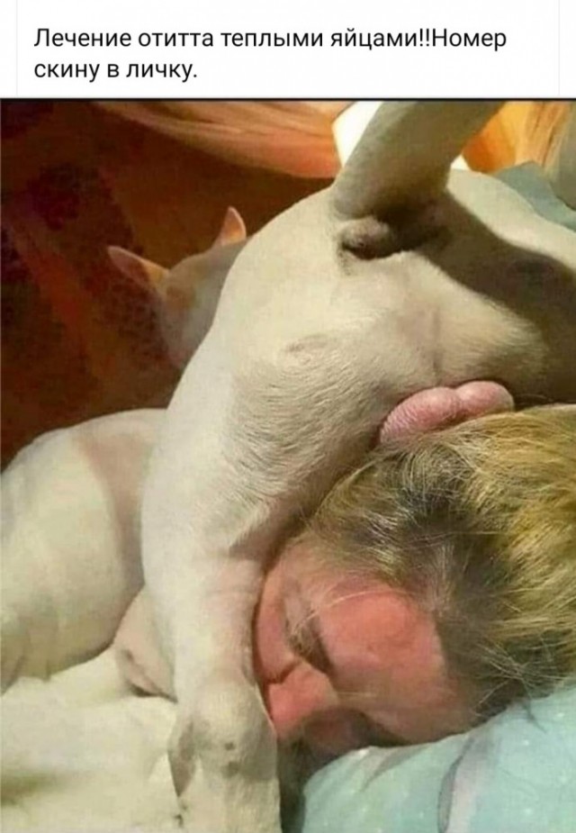 Ну что, пятничная лайтовая Чернушка ждёт вас