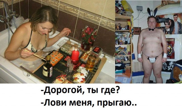 Скотсети и прочие интернеты 08.02.2021