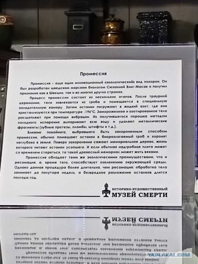 Что происходит с телом после смерти