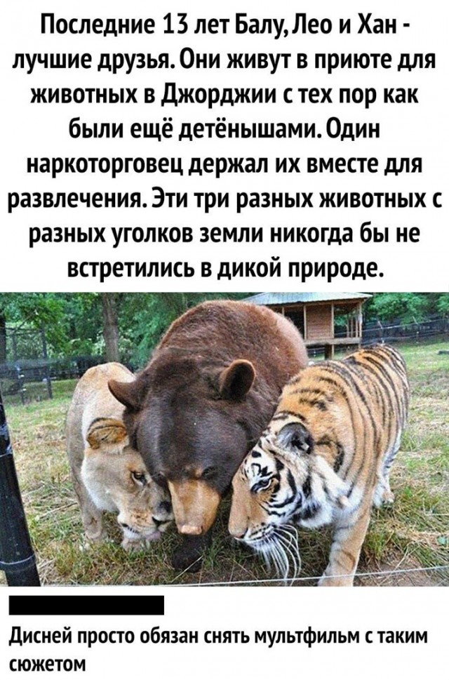 Так себе картинки 24.03.21