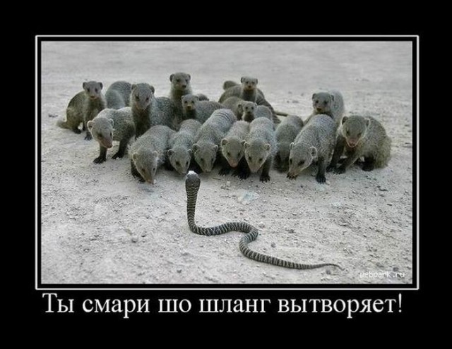 В Австралии можно уснуть и не проснуться