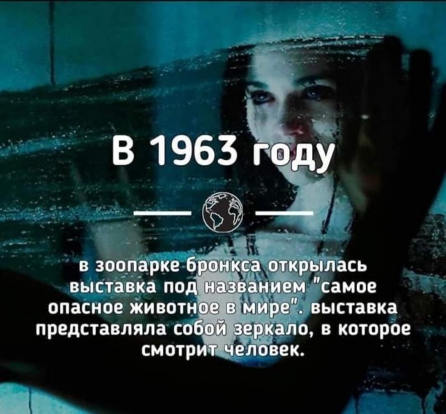 Бредзона 05.04.21