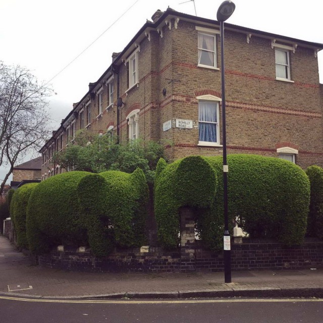 Калейдоскоп картинок