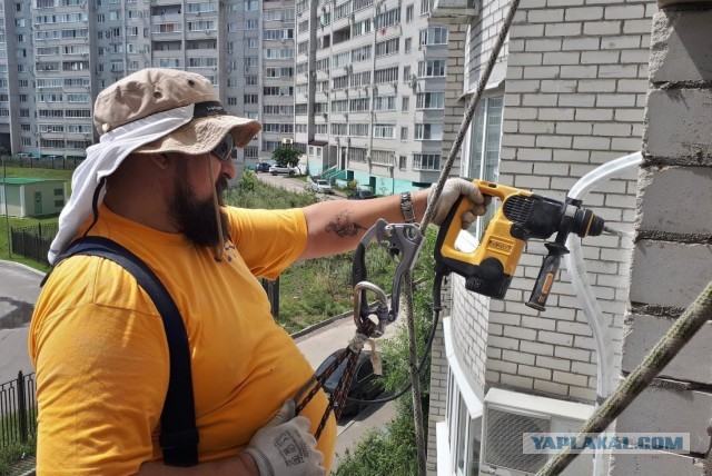 Пчёл нет