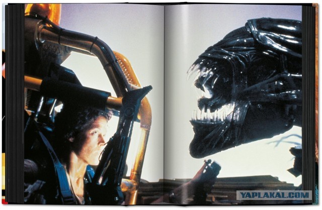 Объяснил, что там парковаться не стоит