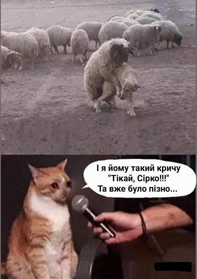 Так себе картинки 22.08.21
