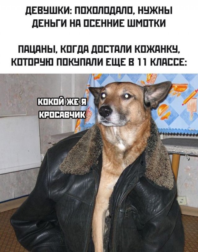 Картинки и мемы для настроения 09.09.2021