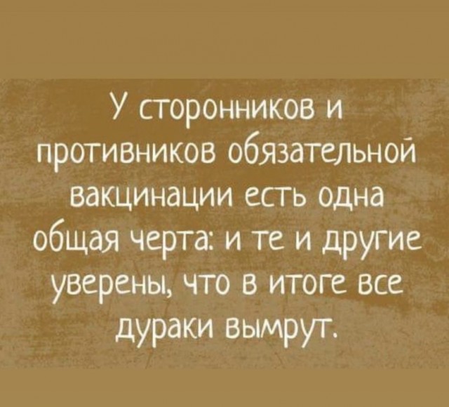 Весёлый полтишок 05.11