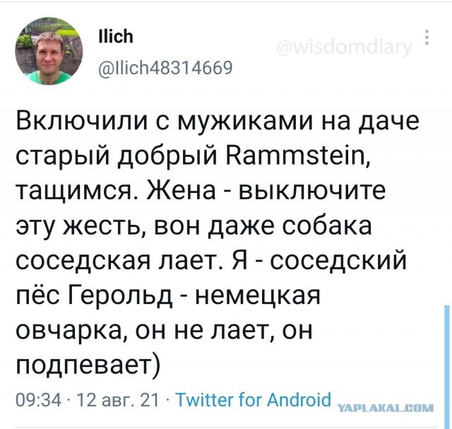 Свинегрет: картинки, надписи и прочее "на", №33