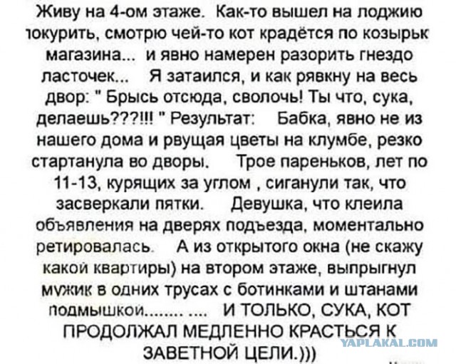 Так себе картинки 13.11.21