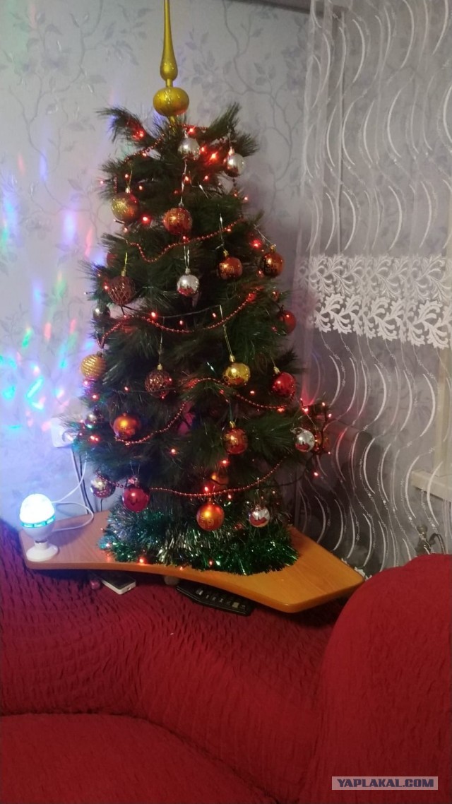 Кто как встречает НГ?