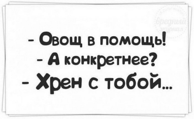 Человек собаке друг и другие картинки под настроение 13.01.2022