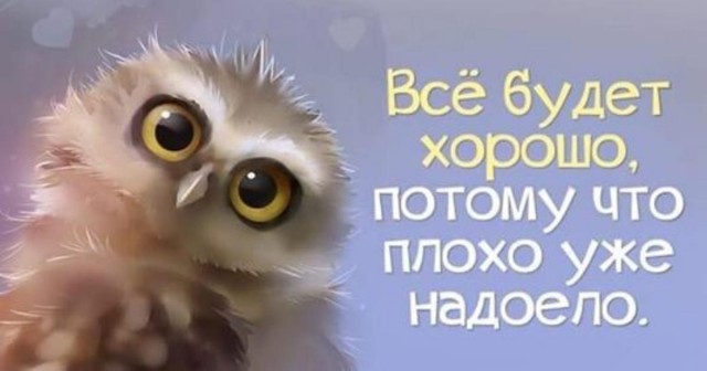 Не сбылось