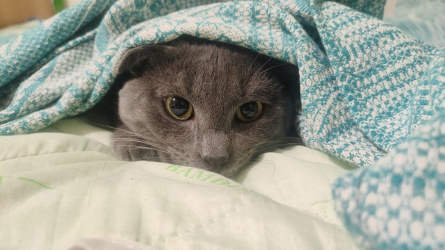 Персик, с днюхой!