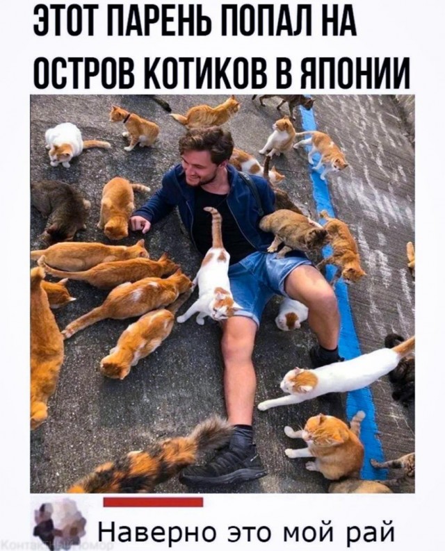Так себе картинки 31.03.22