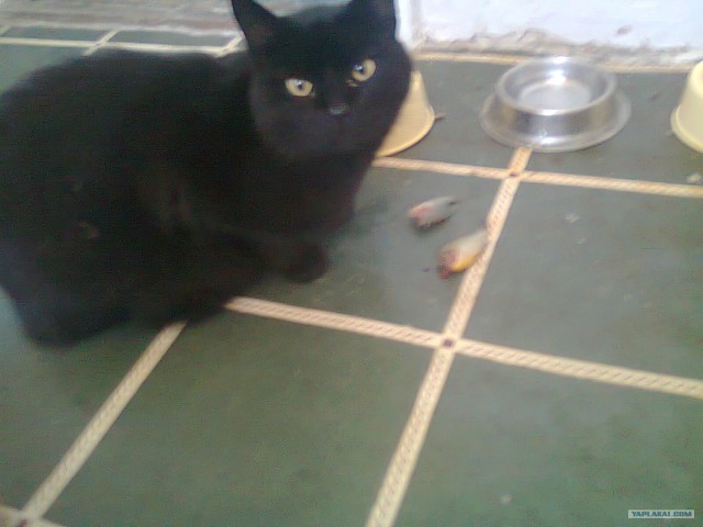 Моя первая рыбалка...