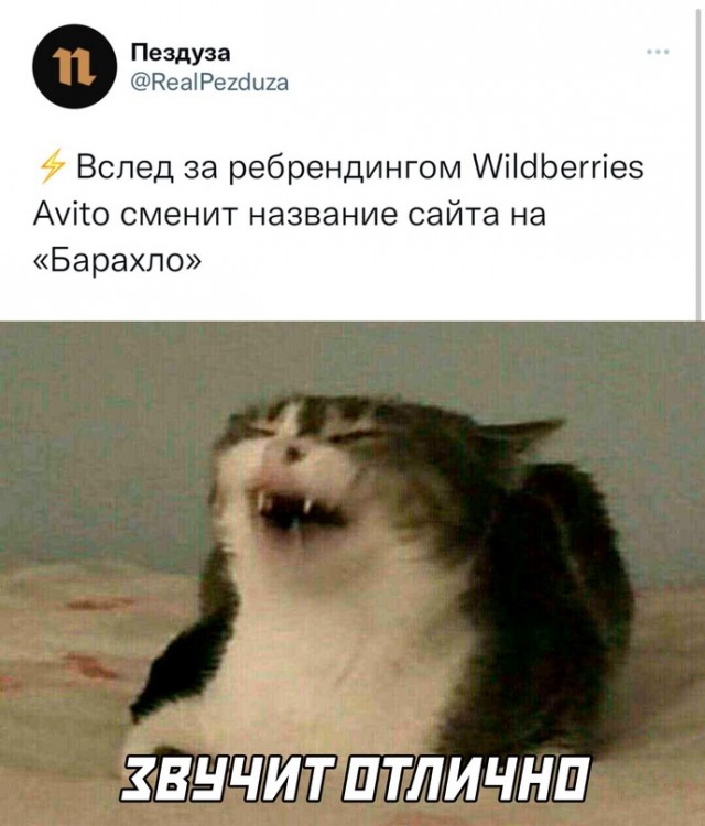 Картинки и мемы для настроения - 17