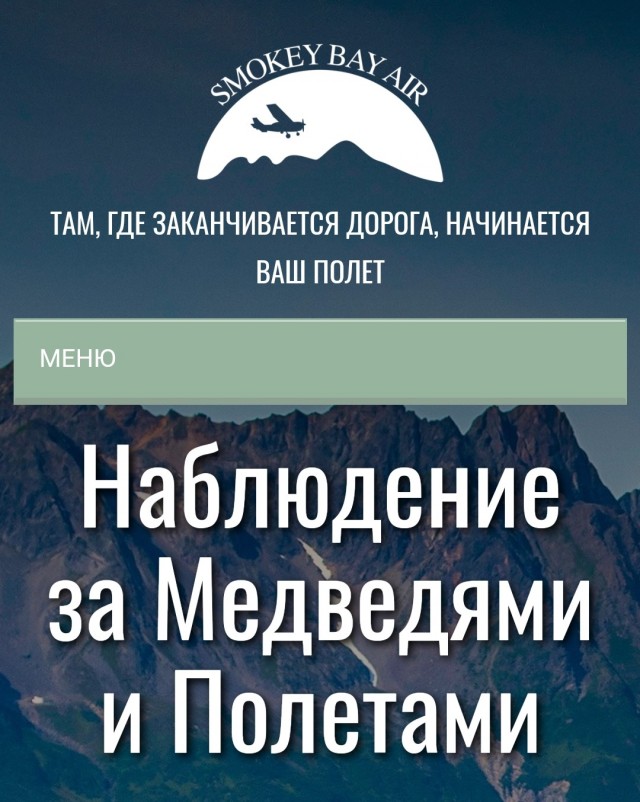 Мишка и самолет