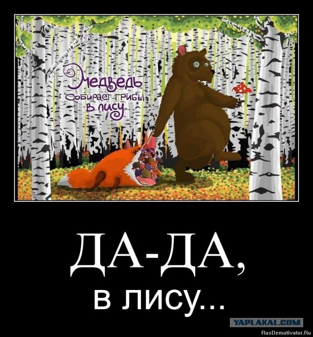 Пользование мобильниками в зоне СВО